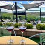 Akash Winery & Vineyard