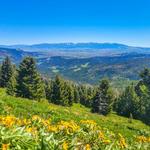 Hiking in Bozeman