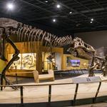 Cleveland Museum of Natural History