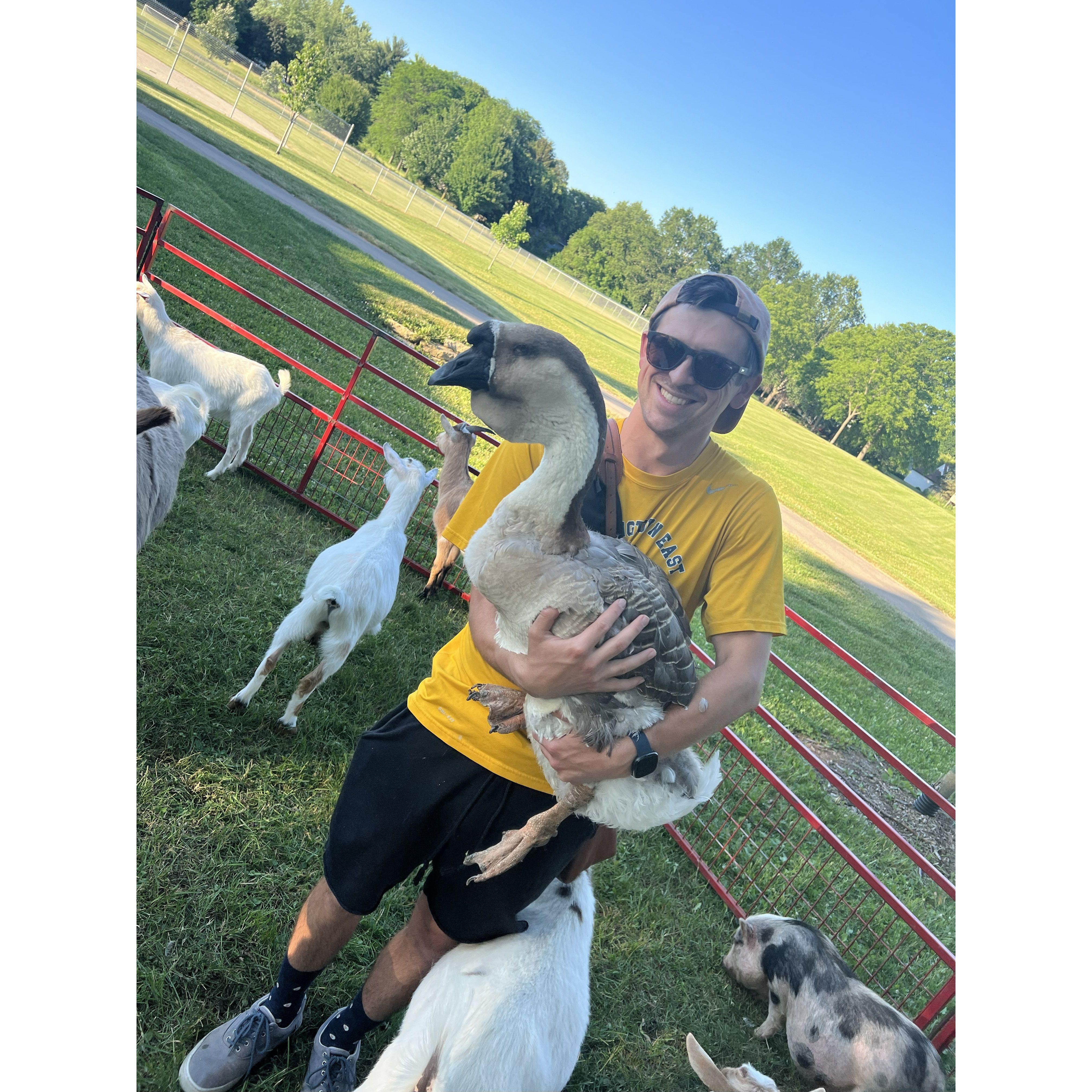 2022 - the park across the street from our Wisco house always had fun events. Like bringing us a personal goose petting zoo!!