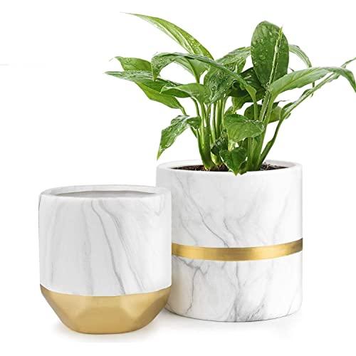 HOMENOTE White Ceramic Flower Pot Garden Planters 6/4.8 inch Pack 2 Indoor, Plant Containers with Marble Texture and Gold Detailing