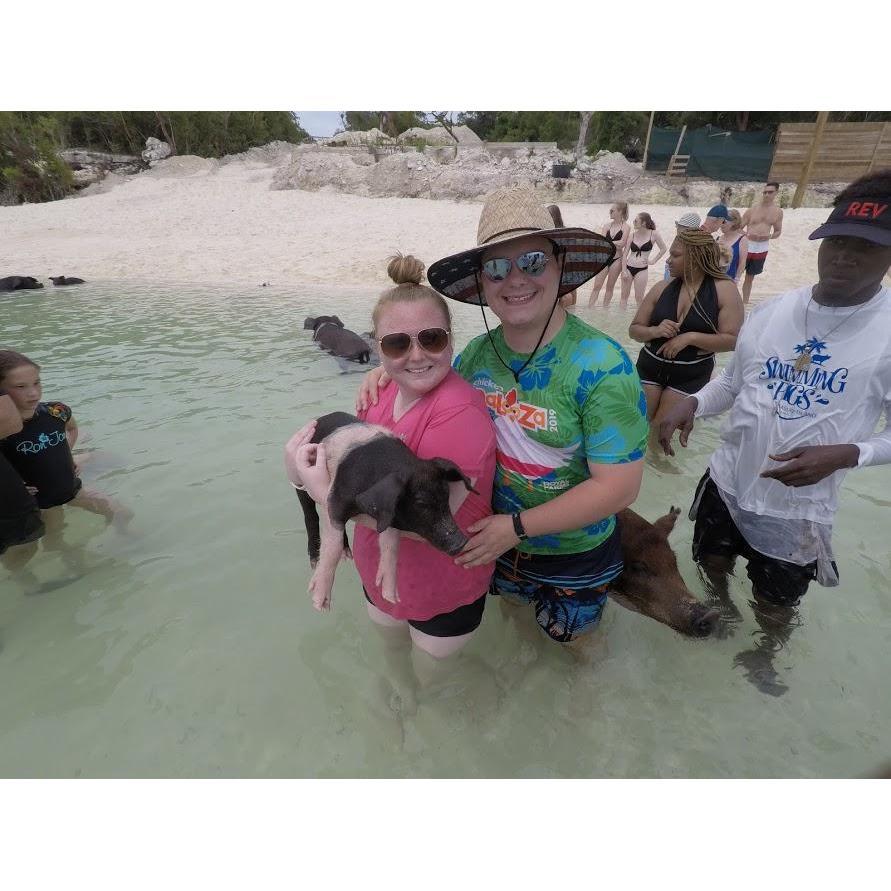 Swimming with the Pigs, 2019.