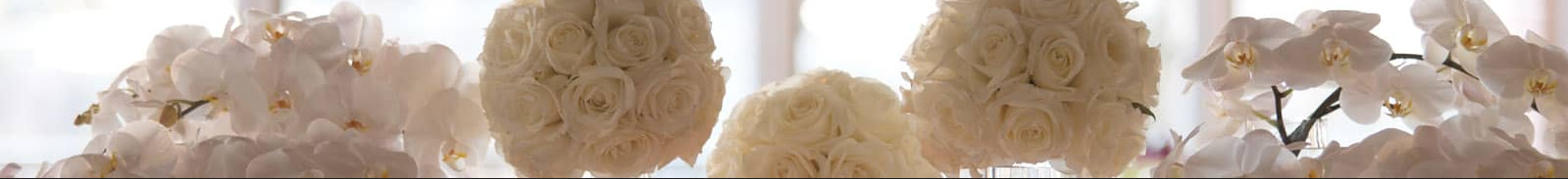The Wedding Website of Carolyn Watson and Anthony Johnson