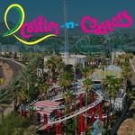 Castles N' Coasters