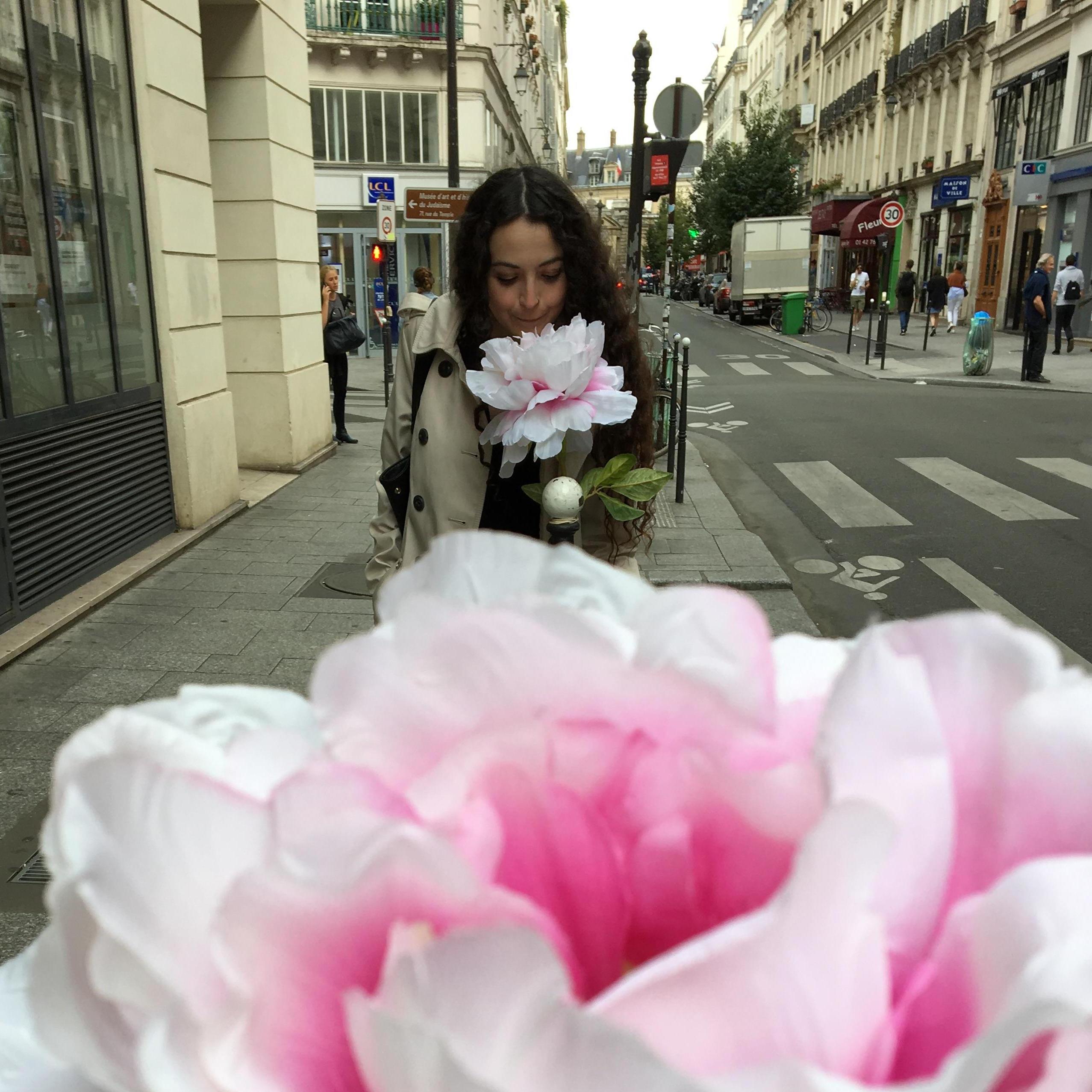 Trois pivoines à Paris!