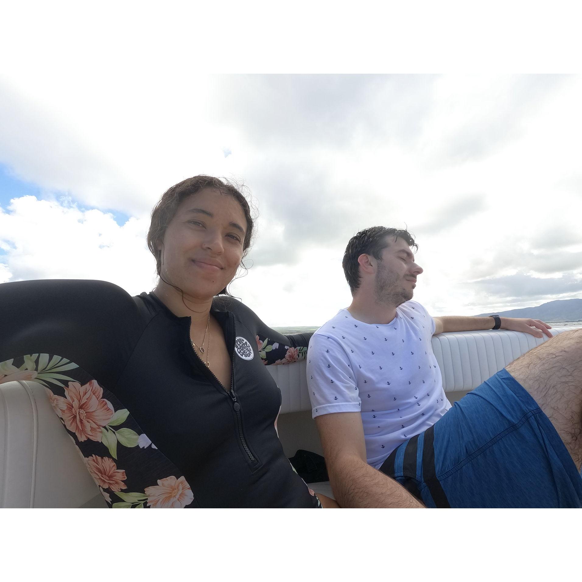 Shark diving and sick as a dog