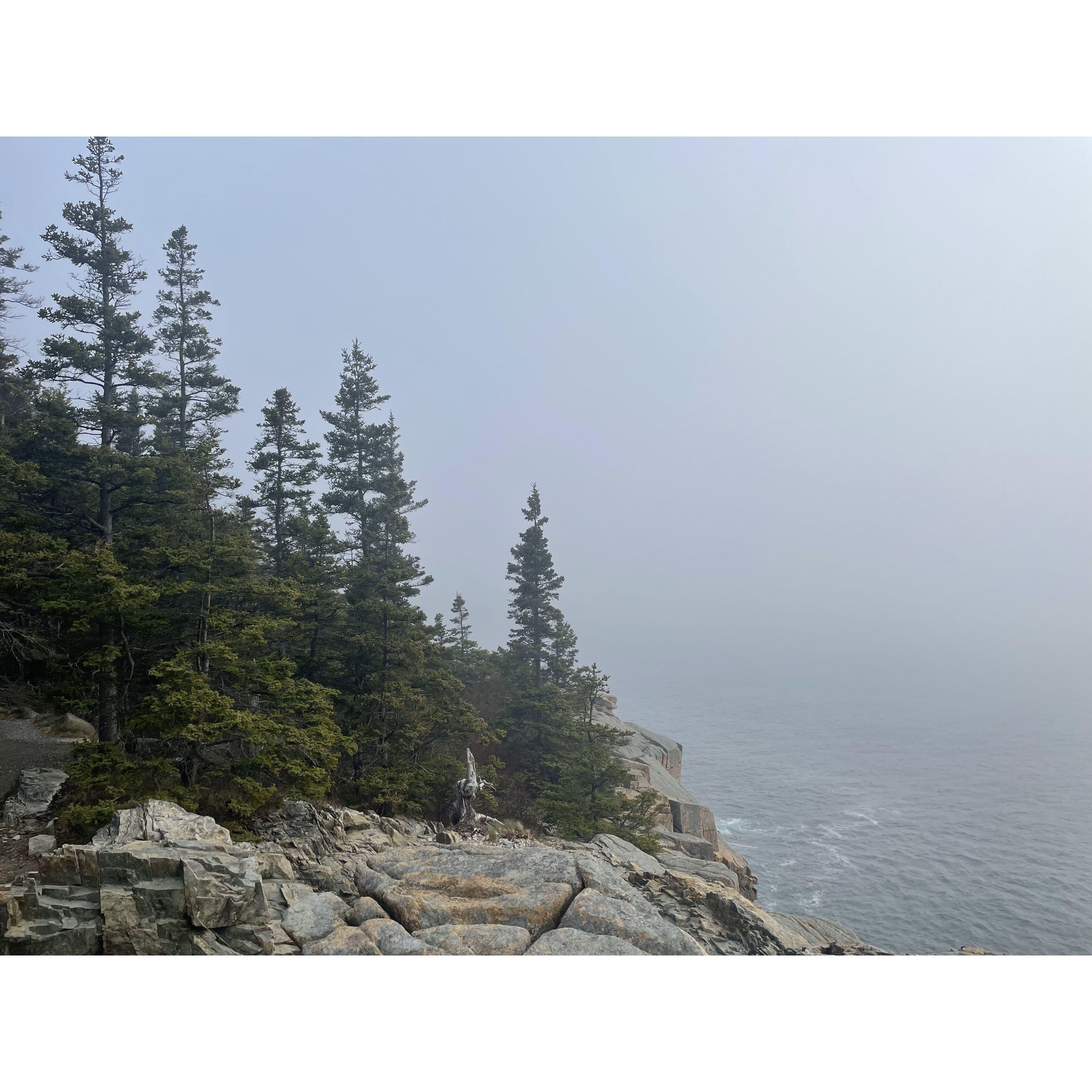 Even on a misty day, Acadia is beautiful