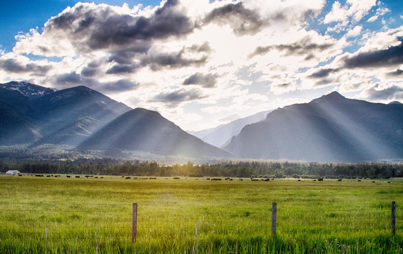 The Wedding Website of Lauren O'Laughlin and Neal Hibala