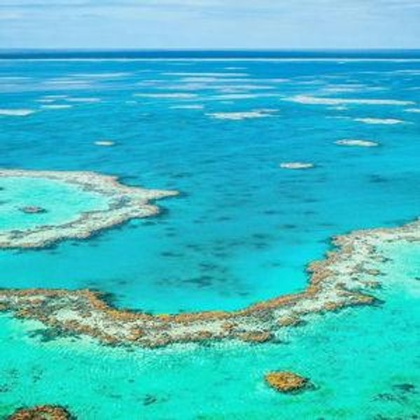 Honeymoon Resort in the Great Barrier Reef (Hamilton Island)