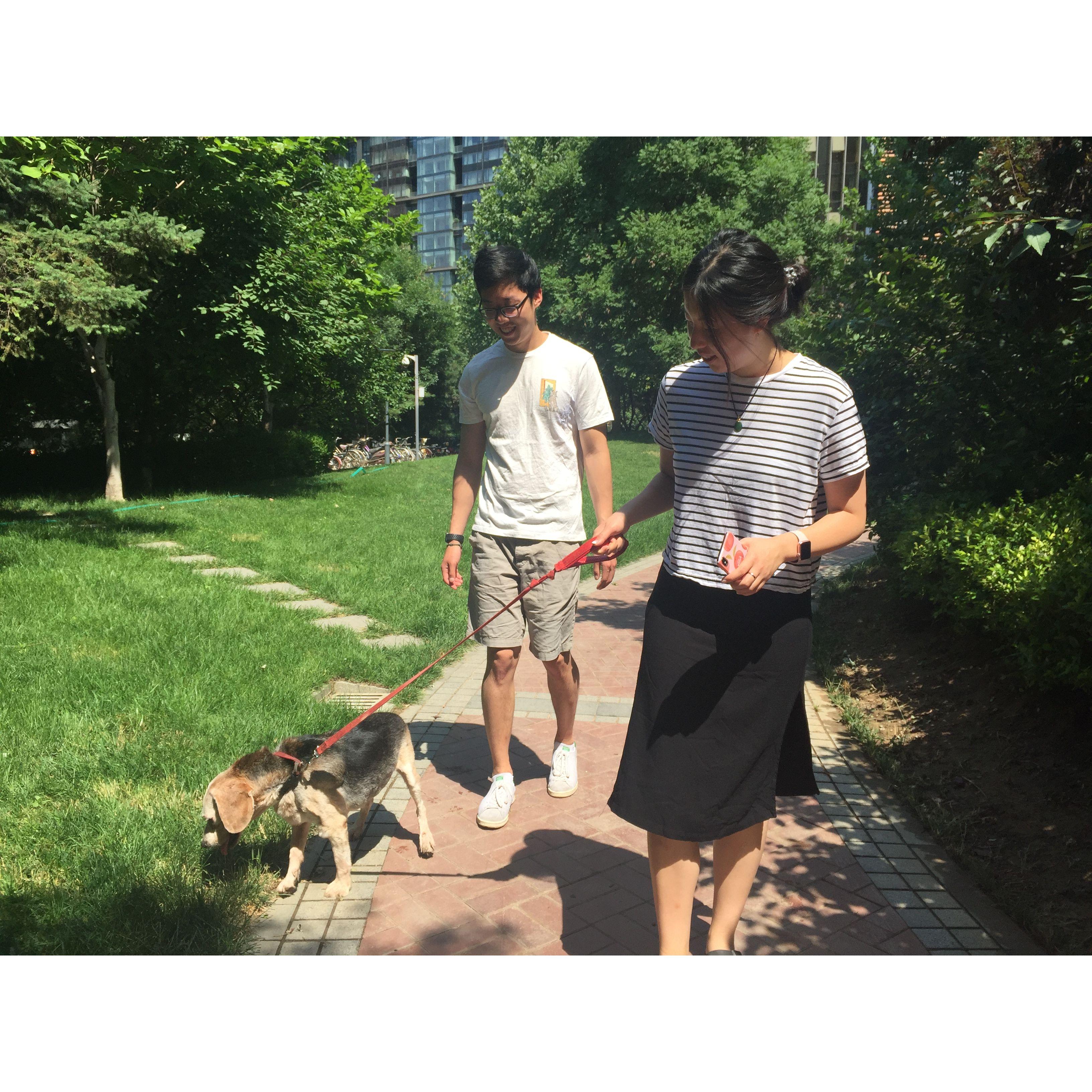 Visiting Edward's parents (and most importantly, his beagle Jeremy) in Beijing.