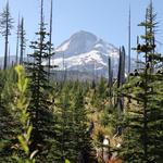 Mount Hood National Forest