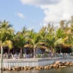 Square Grouper Tiki Bar Jupiter Inlet