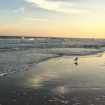 Pawleys Island Beach
