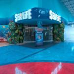 SEA LIFE Charlotte-Concord