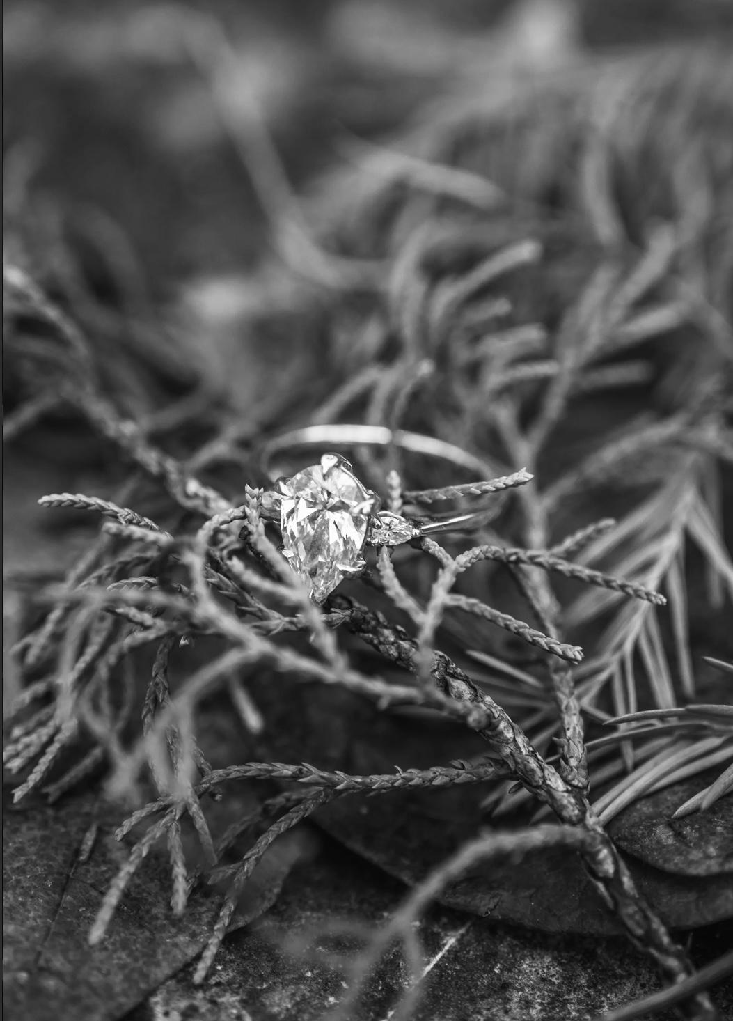 The Wedding Website of Allie Sherman and Austin Gonzalez