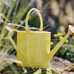 Enameled Iron 2 Liter Watering Can - Canary, 2 litre