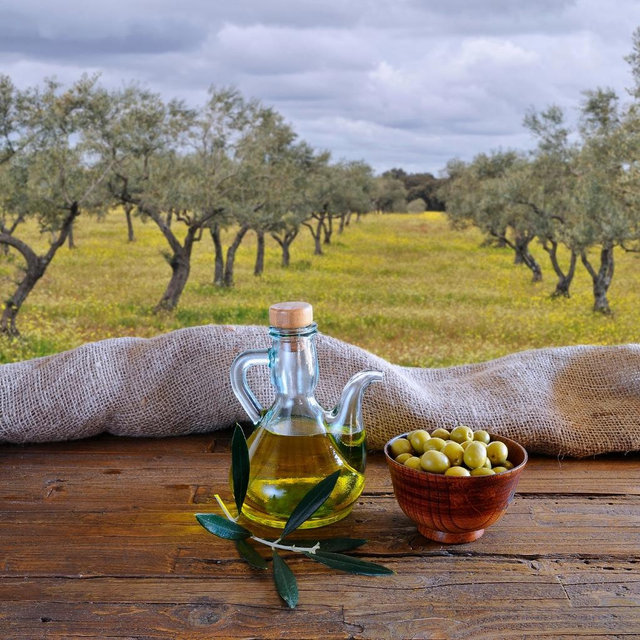 Olive oil taste testing
