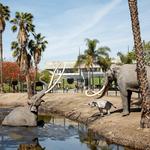 La Brea Tar Pits and Museum