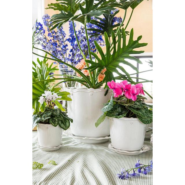 Juliska Berry & Thread Whitewash 12" Planter & Saucer