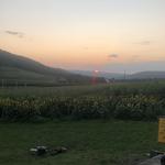 Mountain State Brewing Co