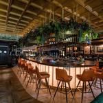 The Vine Room Naples