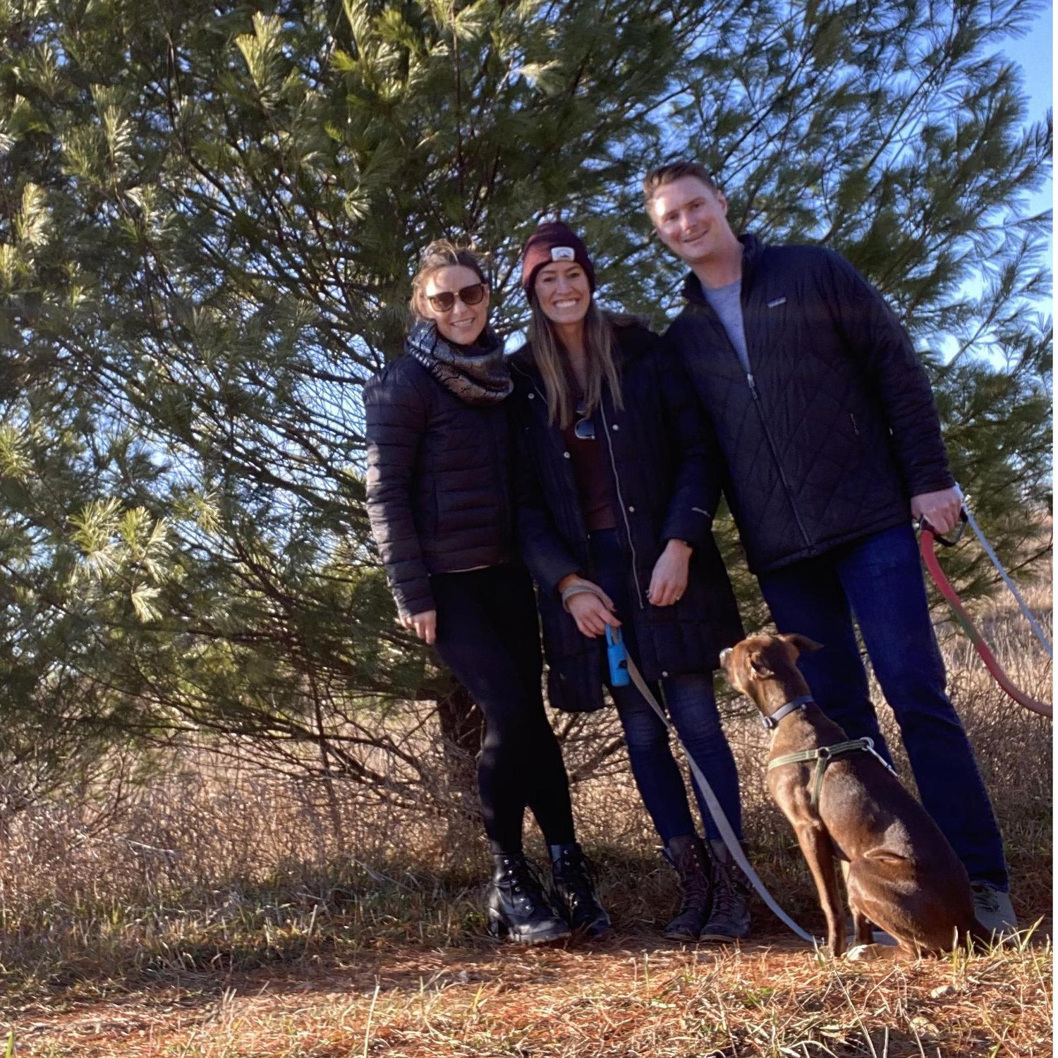 Cutting down our Christmas tree 2020