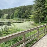 Huron Natural Area