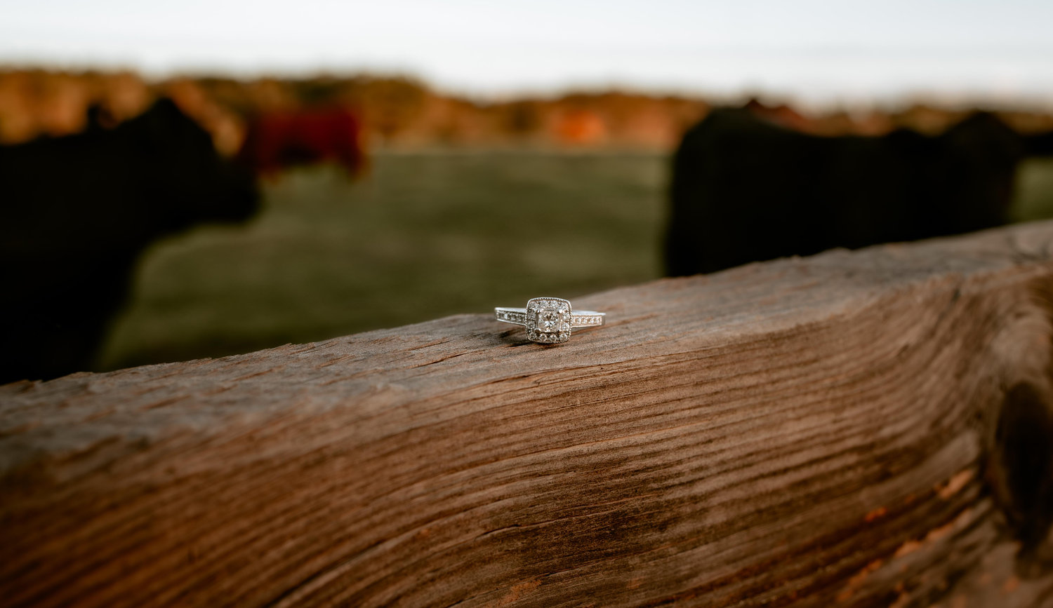 The Wedding Website of Abigail Felks and Ashton Bowers