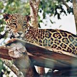 Zoologico Valladolid