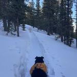 More Hiking