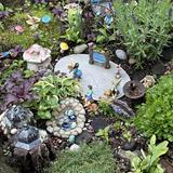 F.A. Seiberling Nature Realm