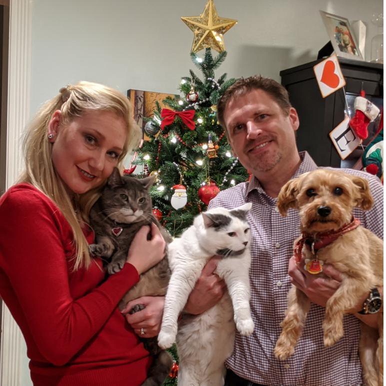 Our fur babies, Foxy, Joker and Trixie