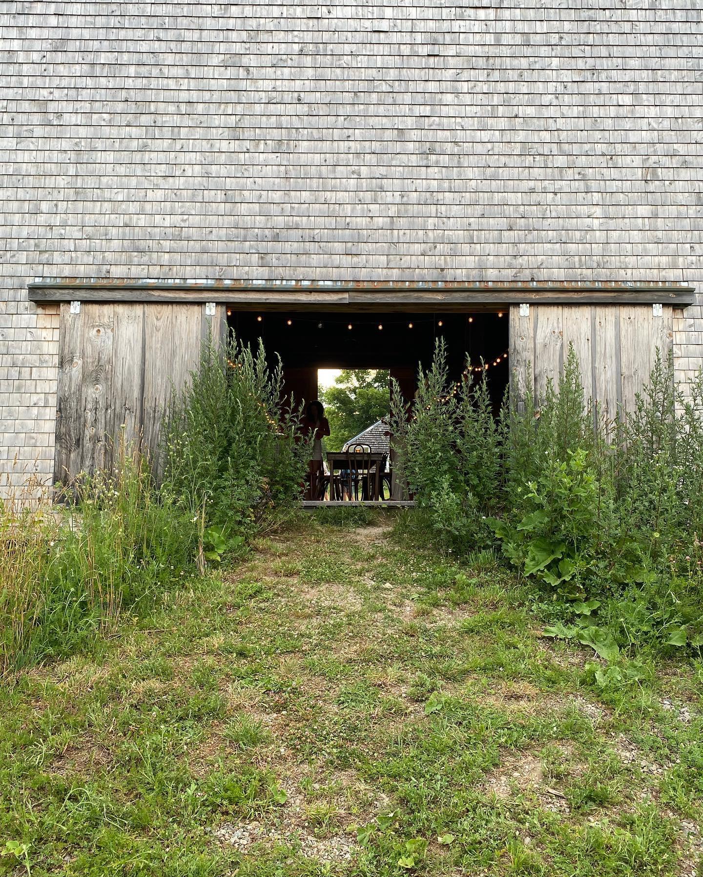 The Wedding Website of Nathan D'Aversa and Camila Carrillo