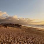 Marina State Beach
