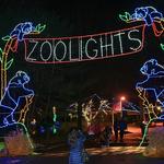 Zoo Lights