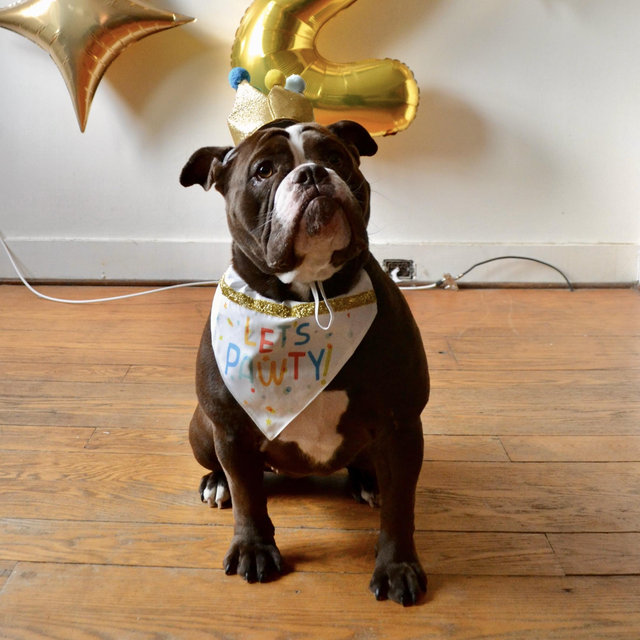 Year's Supply Of Frank Treats
