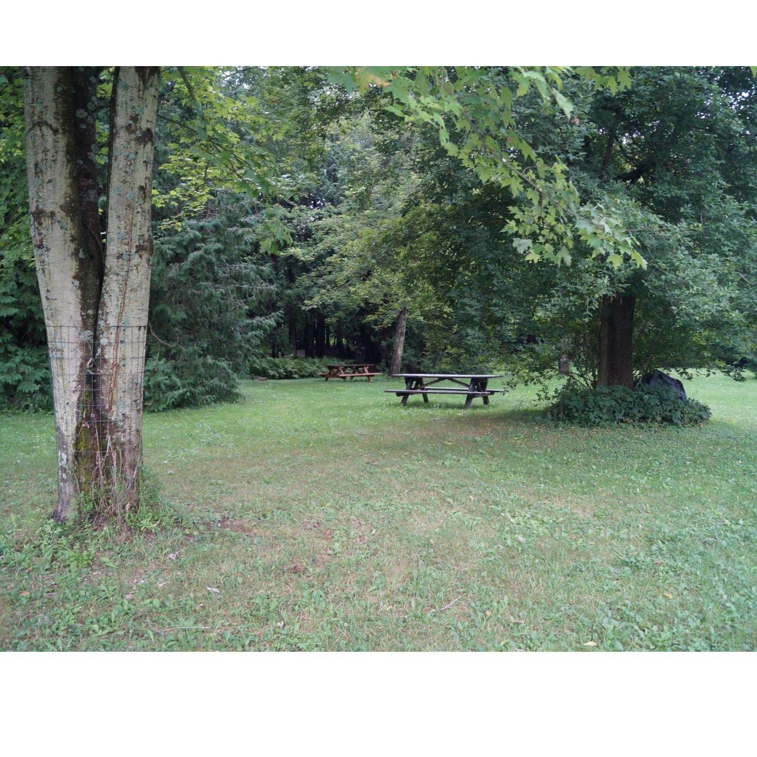 Sample of campsites, many on the river. Play place for the kids in the woods. Bathhouse access.