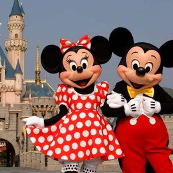 Our Honeymoon Fund to Disneyland!