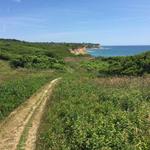 Rodmans Hollow