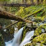 Hike: Sol Duc Falls