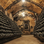 Freixenet México