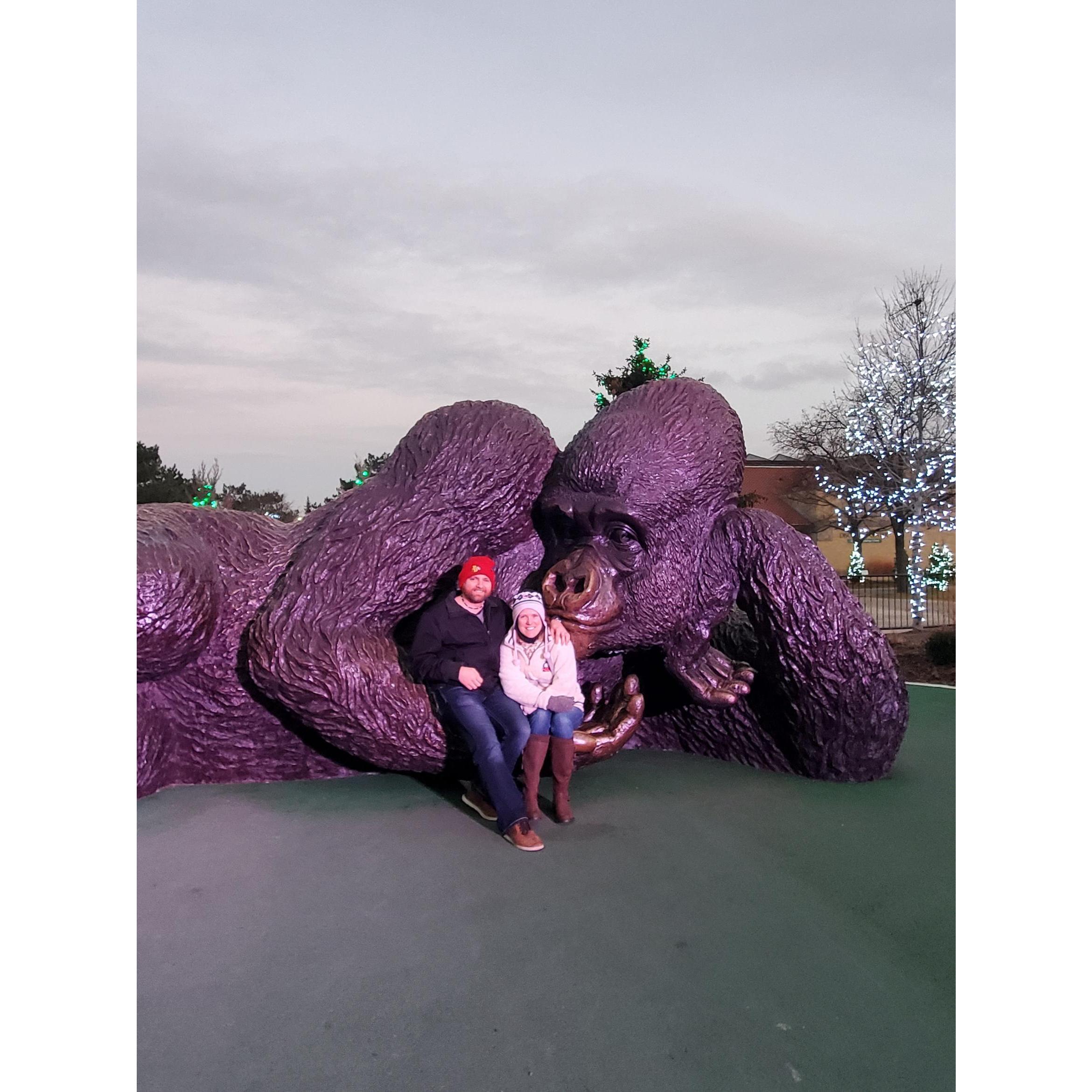 Free Brookfield Zoo Days!