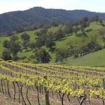 Bartagunyah Estate Cellar Door