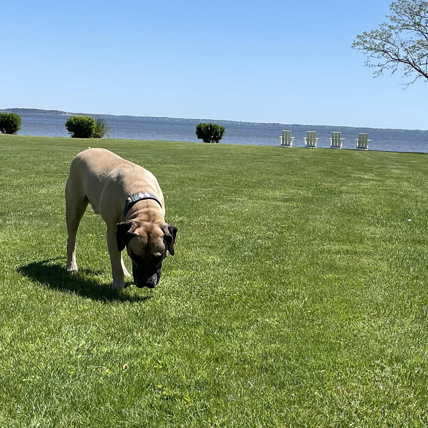 Kody at our wedding venue!