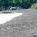 Jasper Beach