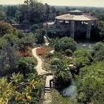 Japanese Tea Garden