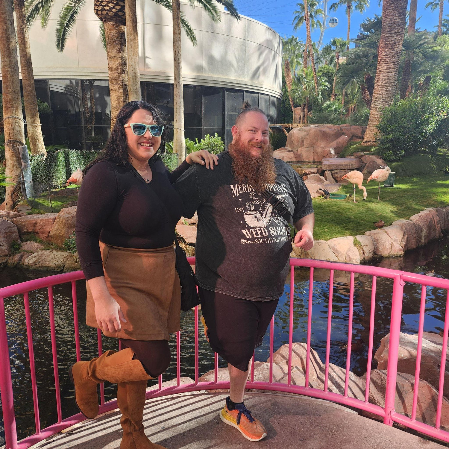 Flamingos at the Flamingo in Las Vegas
