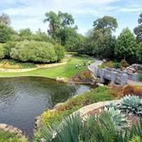 The Dallas Arboretum and Botanical Garden
