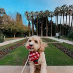 National Gardens