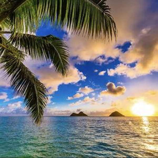 Hawaii Honeymoon Fund
